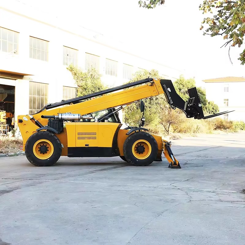 Customized Telescopic Handler  - огляд і ціна Telescopic Handler Boom