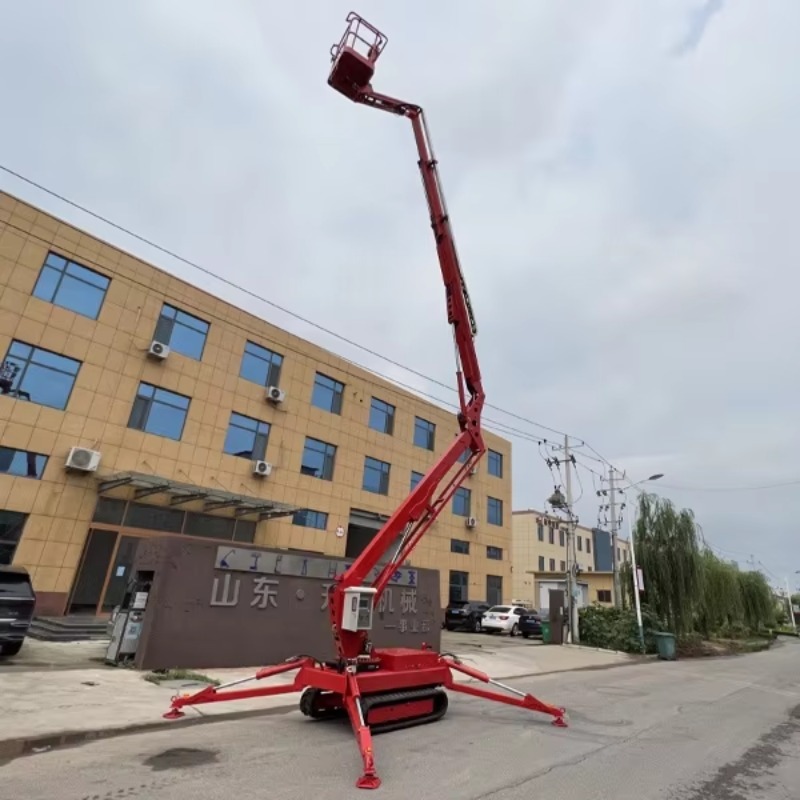 YG Customized 12m Briggs & Str - огляд і ціна Compact Crawler Boom Lift